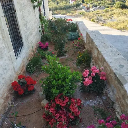 Amazing Stone Kapetaniana